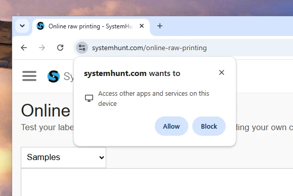 How to allow browser to access to local applications